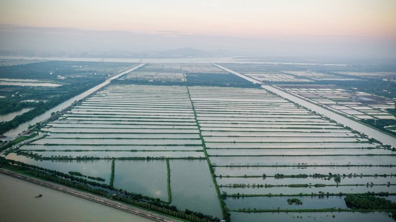 探寻水产养殖基地，选择优质水产品